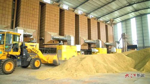 永豐 智能烘干助力夏糧歸倉，稻谷晾曬不再靠天