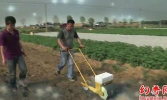 精量播種機械 防風播種機與前胡播種機在稻谷種植中的應用與市場分析