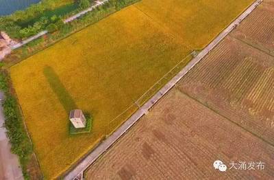 不用自己動手，你也可以擁有自己的田塊和土雞！